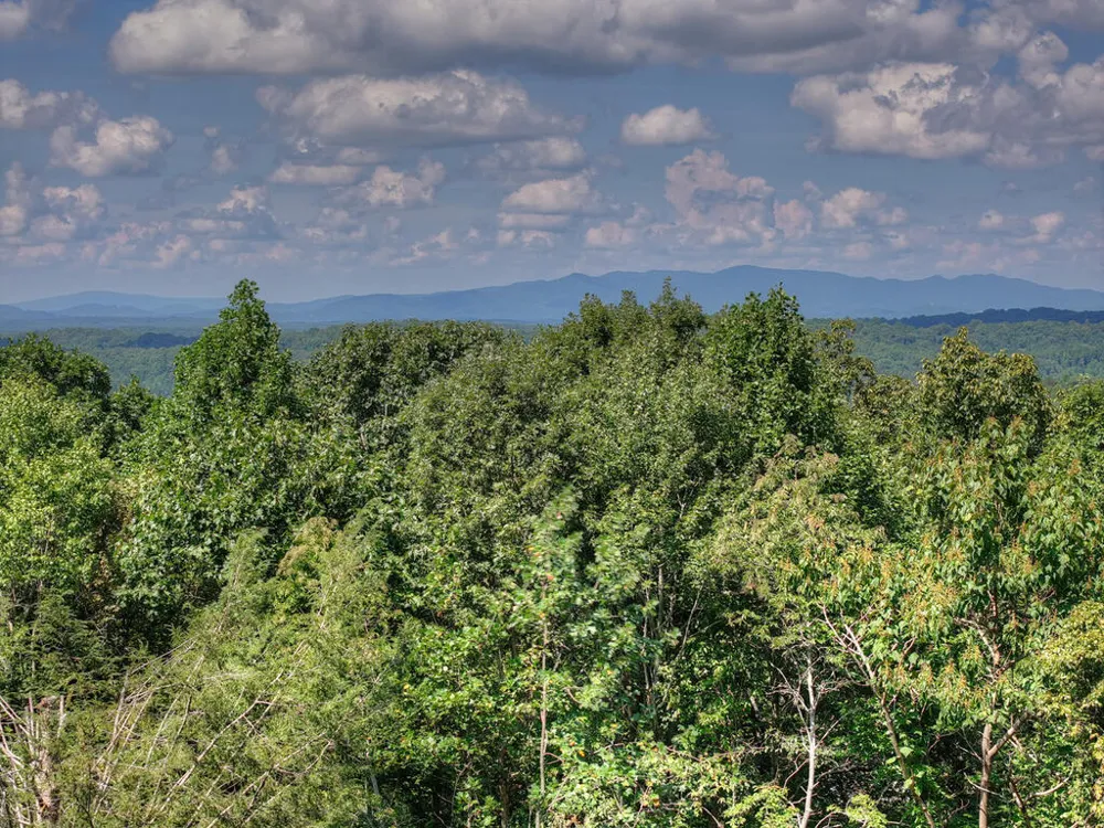 8 North Face Drive Blue Ridge, GA 30513