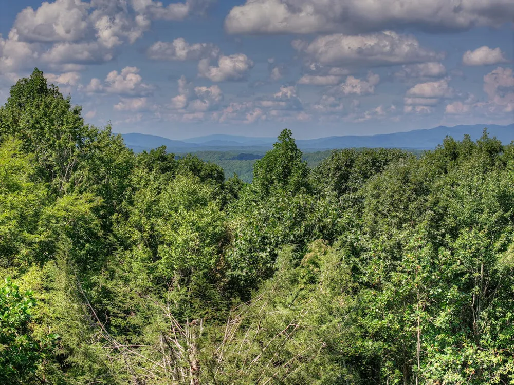 8 North Face Drive Blue Ridge, GA 30513