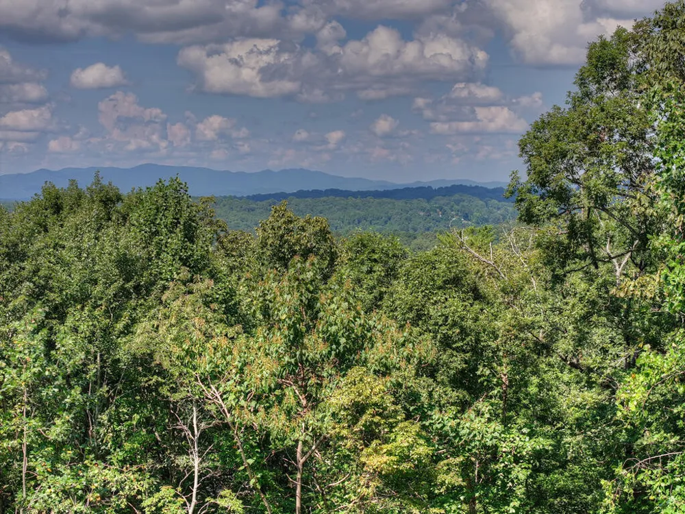 8 North Face Drive Blue Ridge, GA 30513