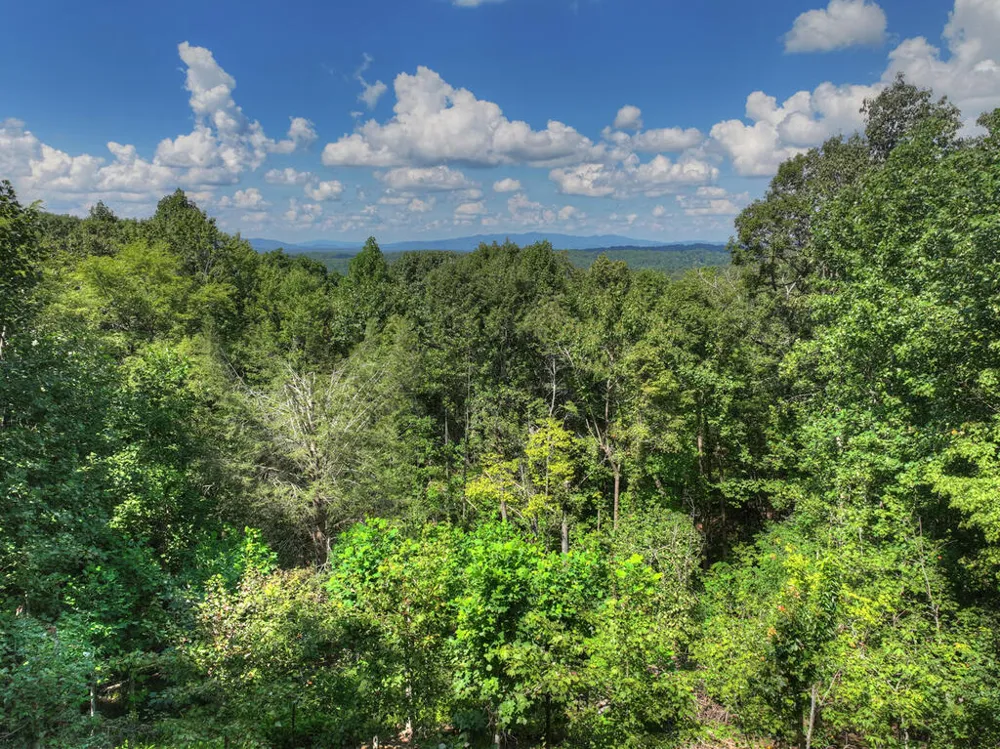 8 North Face Drive Blue Ridge, GA 30513