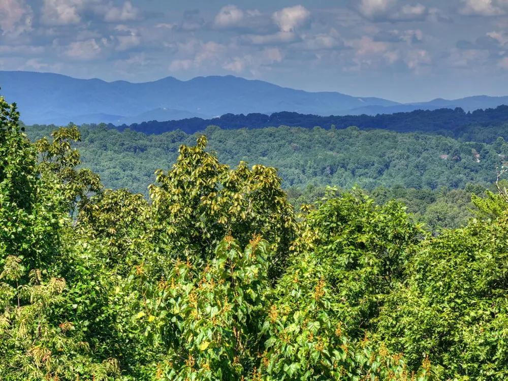 8 North Face Drive Blue Ridge, GA 30513
