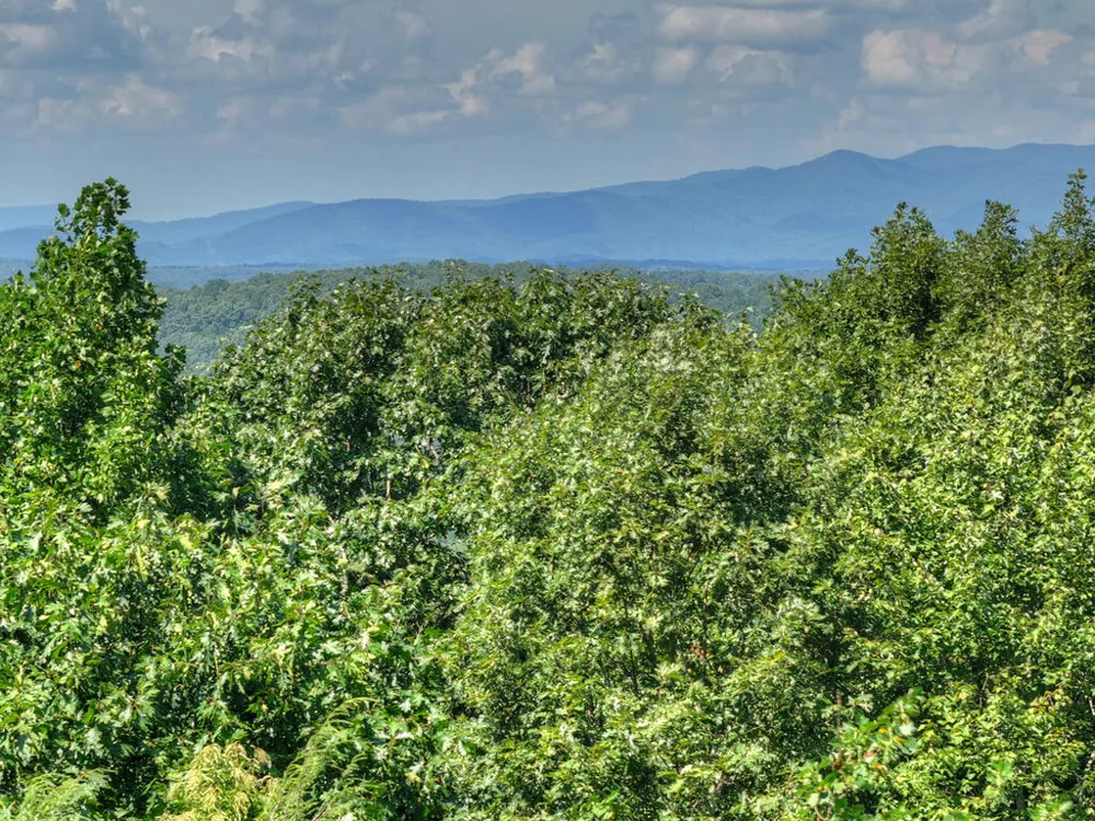 8 North Face Drive Blue Ridge, GA 30513