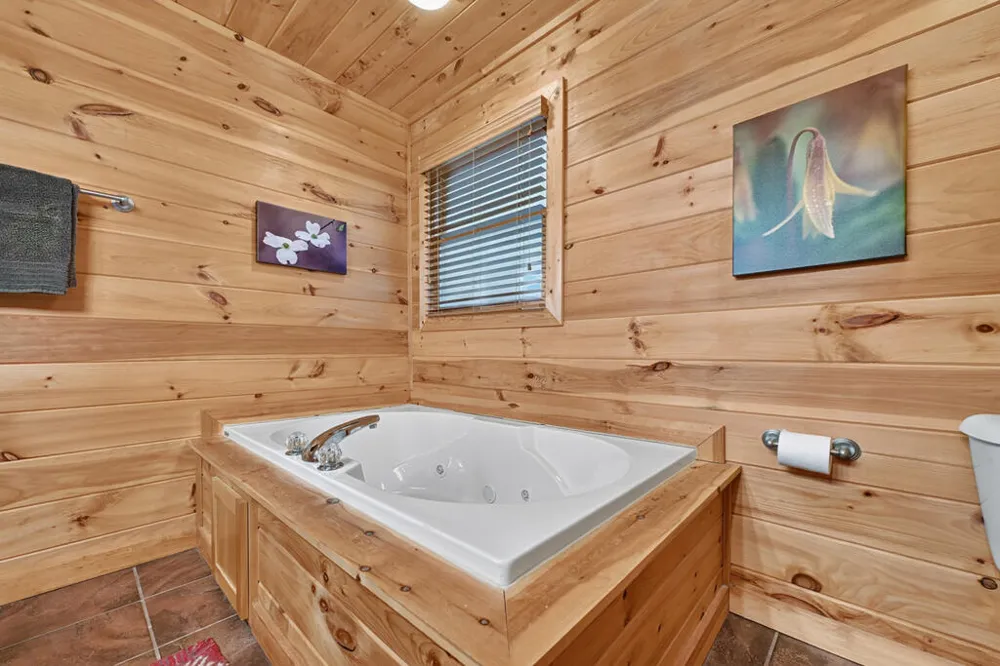 8 North Face Drive Blue Ridge, GA 30513