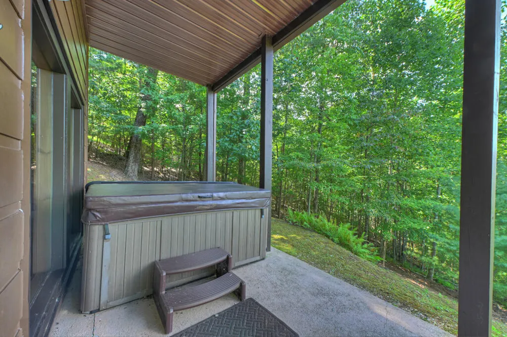 8 North Face Drive Blue Ridge, GA 30513