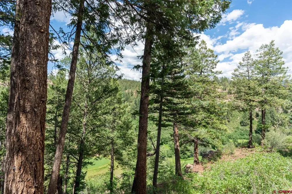 961 Tamarron #615 Durango, CO 81301