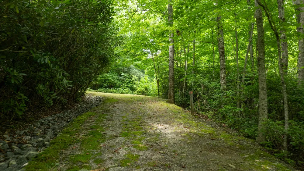 TBD Meadowcrest Cashiers, NC 28717