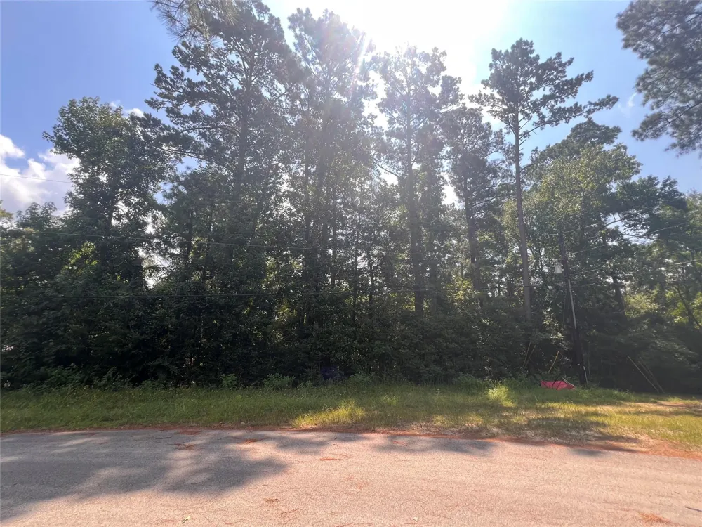 15218 Milton Whatley Montgomery, TX 77316