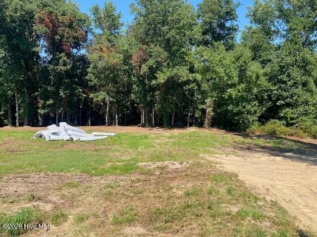 5230 Roseheath Court Bailey, NC 27807