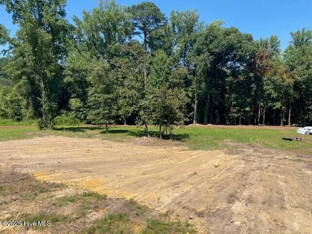 5256 Roseheath Court Bailey, NC 27807