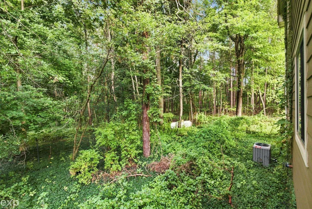 535 Goldengate Street Lake Orion Village, MI 48362