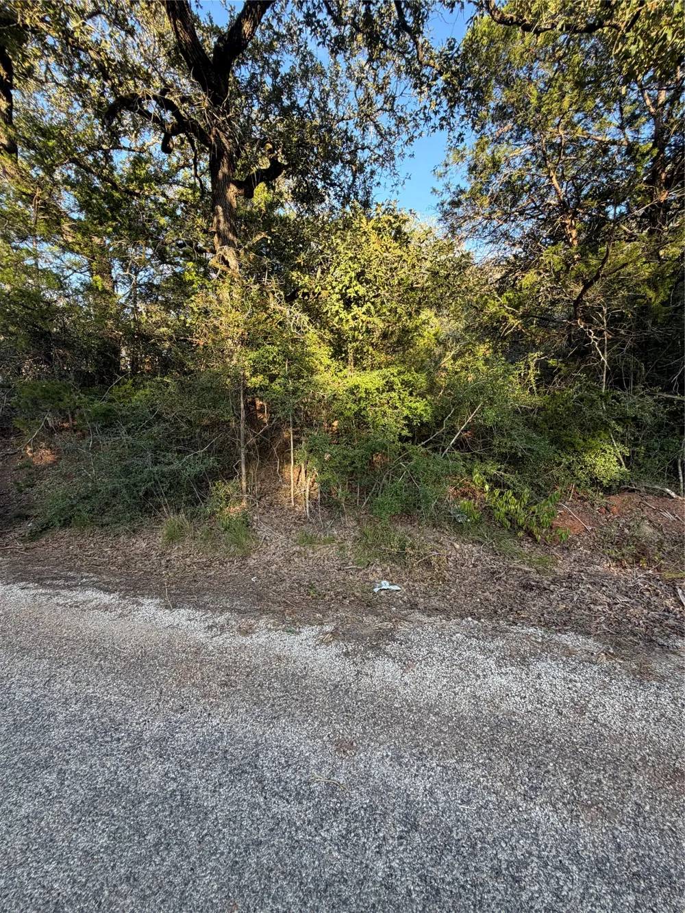194 Kaelepulu Drive Bastrop, TX 78602