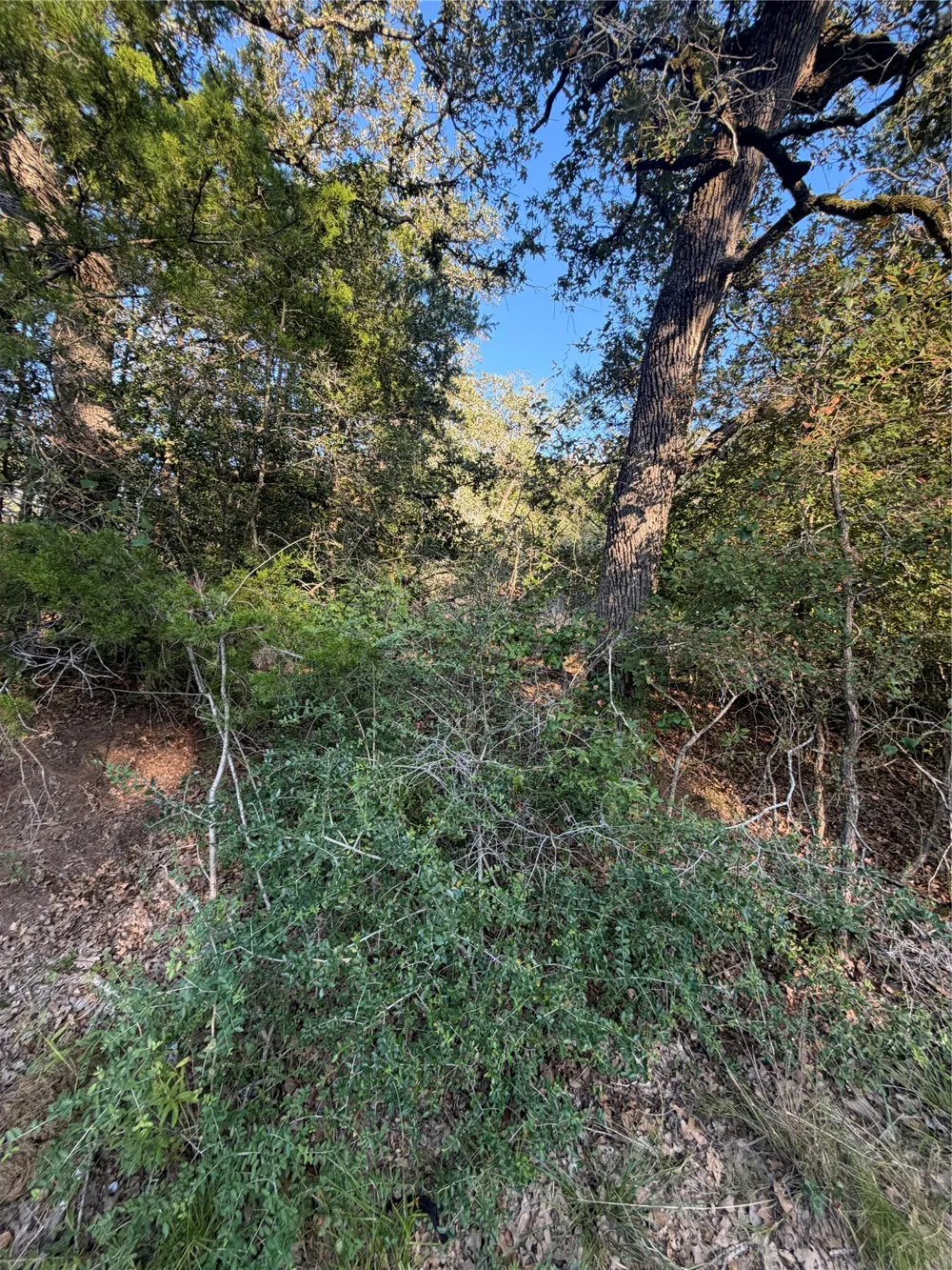 194 Kaelepulu Drive Bastrop, TX 78602