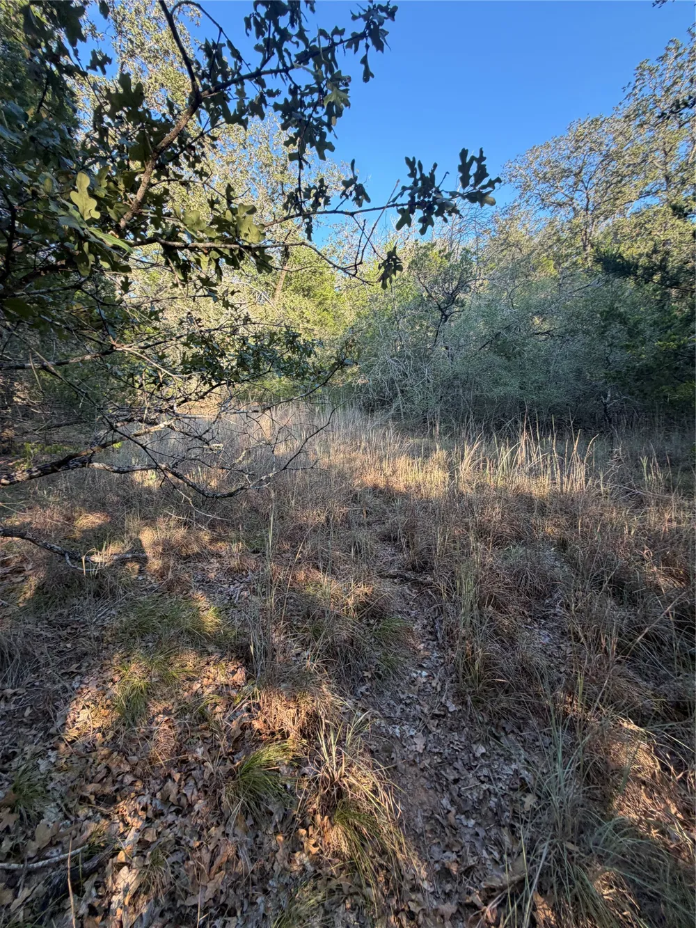 194 Kaelepulu Drive Bastrop, TX 78602