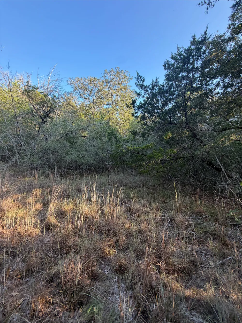 194 Kaelepulu Drive Bastrop, TX 78602