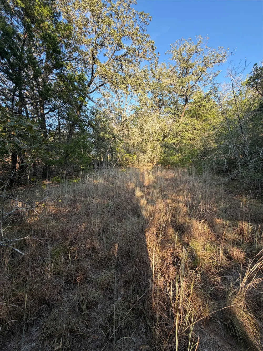 194 Kaelepulu Drive Bastrop, TX 78602