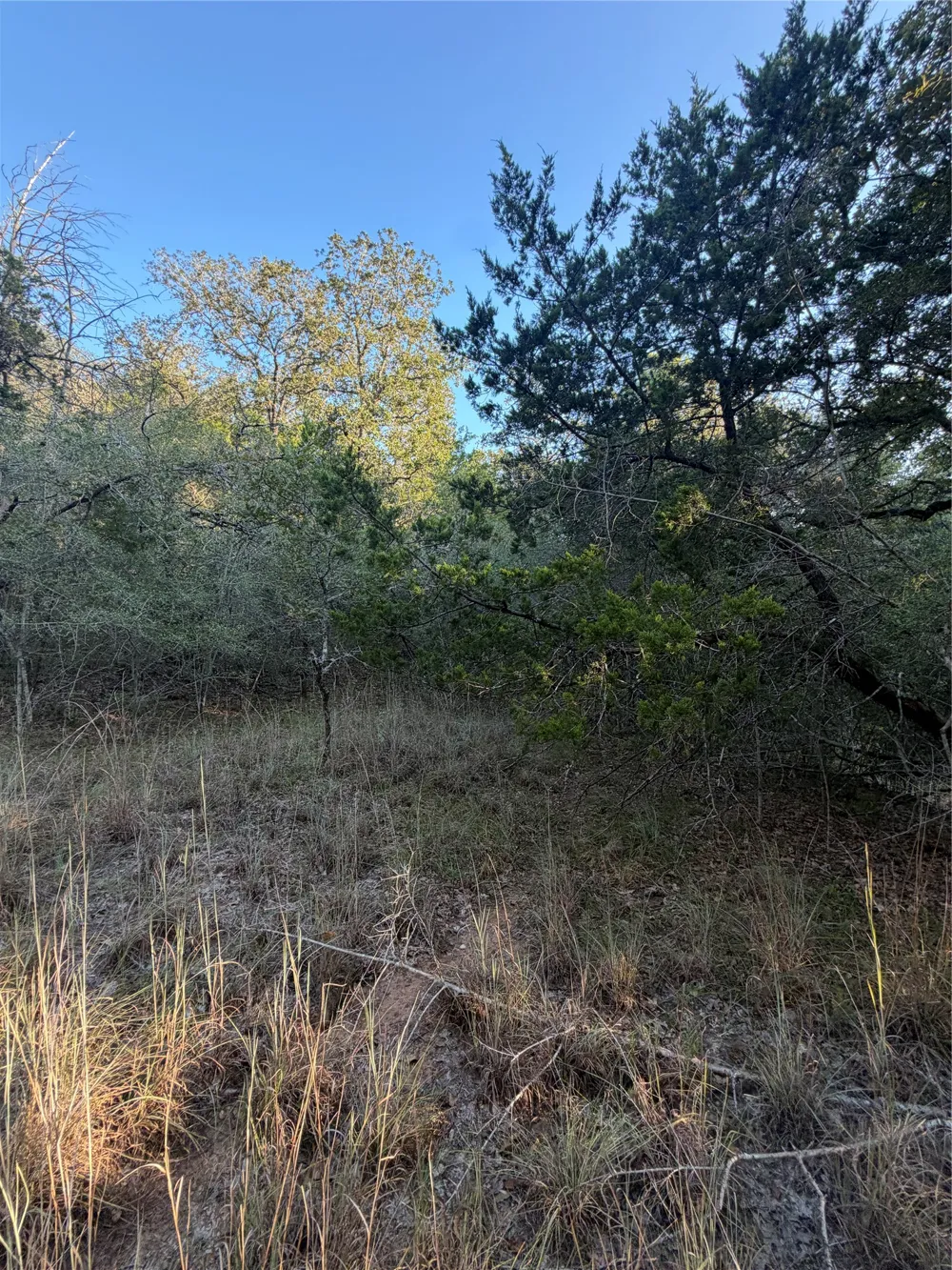 194 Kaelepulu Drive Bastrop, TX 78602