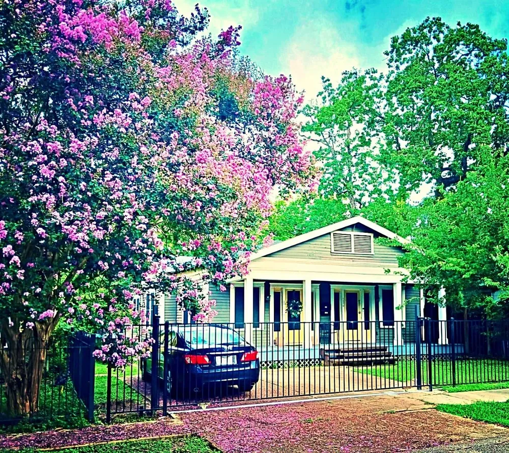 303 Northwood Street Houston, TX 77009