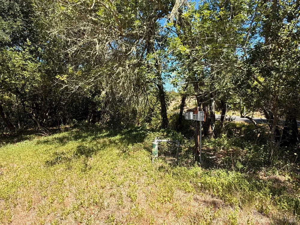 4569 Sonoma Mountain Road Santa Rosa, CA 95404