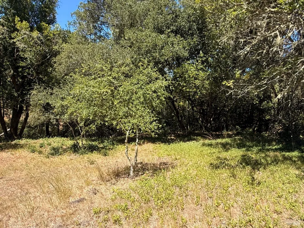4569 Sonoma Mountain Road Santa Rosa, CA 95404