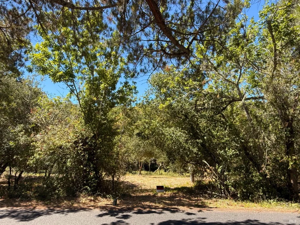 4569 Sonoma Mountain Road Santa Rosa, CA 95404