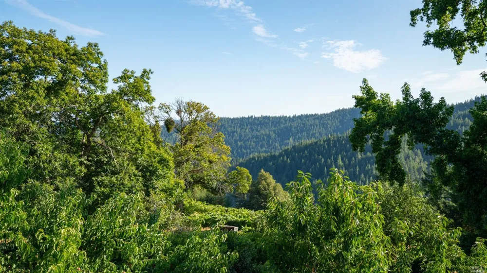 31101 Fish Rock Road Yorkville, CA 95494