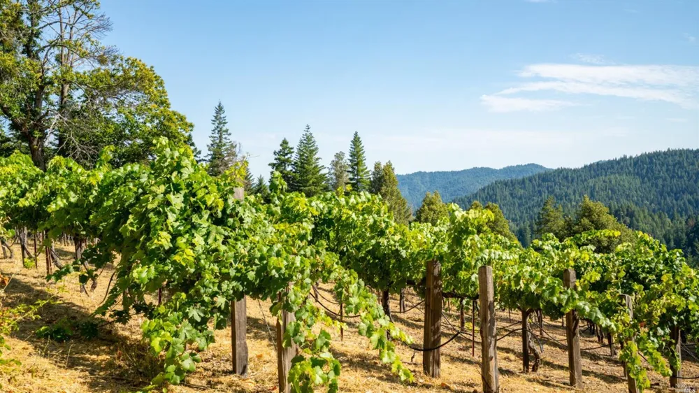 31101 Fish Rock Road Yorkville, CA 95494