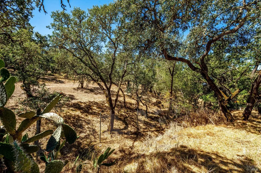 303 Ashlar Drive Napa, CA 94558