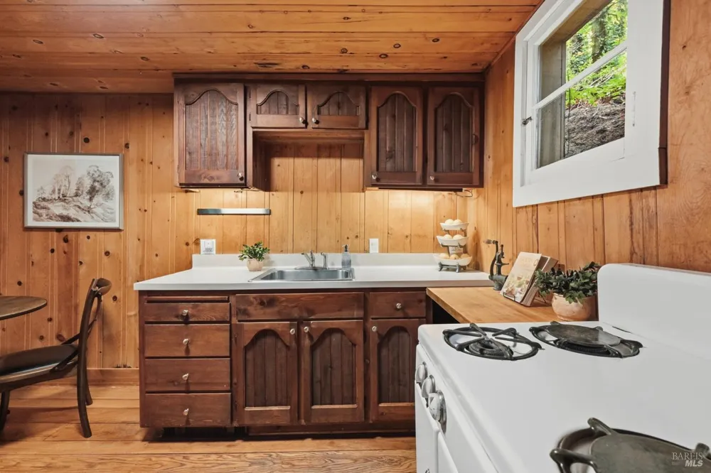 11 Shady Lane Larkspur, CA 94939