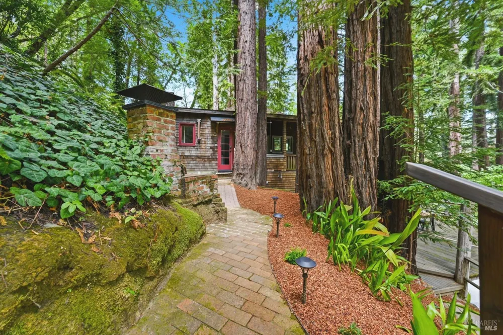 11 Shady Lane Larkspur, CA 94939