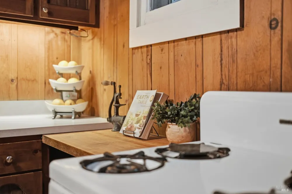 11 Shady Lane Larkspur, CA 94939