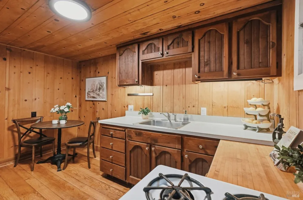 11 Shady Lane Larkspur, CA 94939