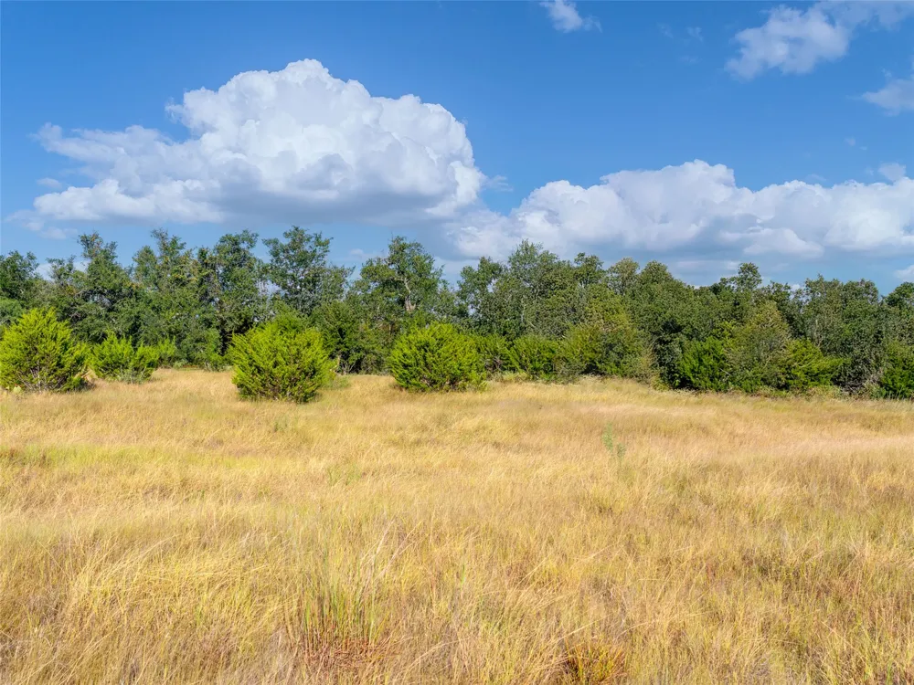 7994 US Highway 290 Johnson City, TX 78636