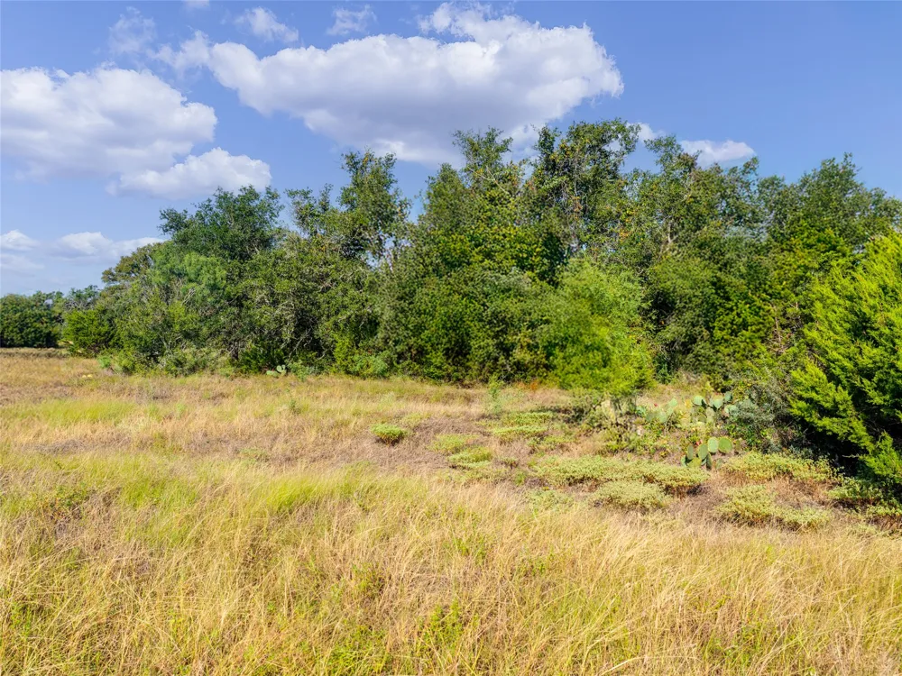 7994 US Highway 290 Johnson City, TX 78636