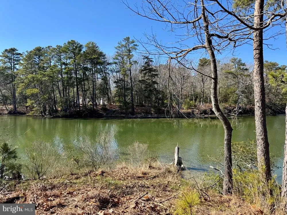 TRANQUILITY ROAD Reedville, VA 22539