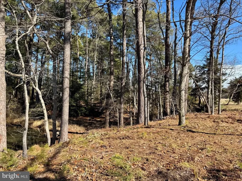 TRANQUILITY ROAD Reedville, VA 22539
