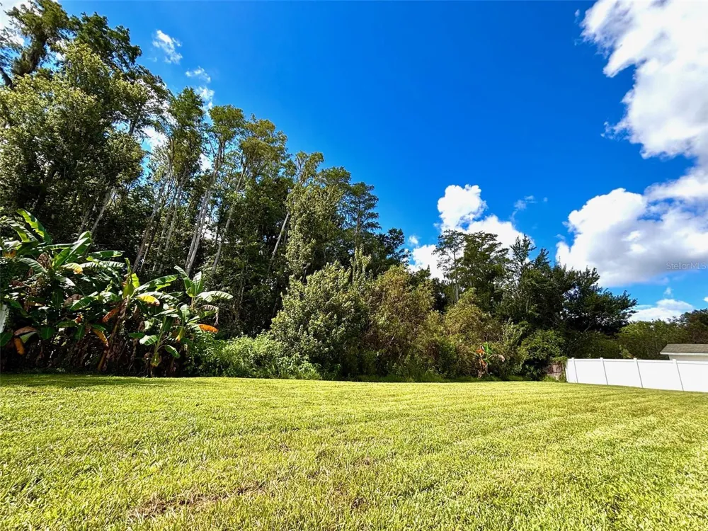 4545 DEBBIE LANE Lutz, FL 33559