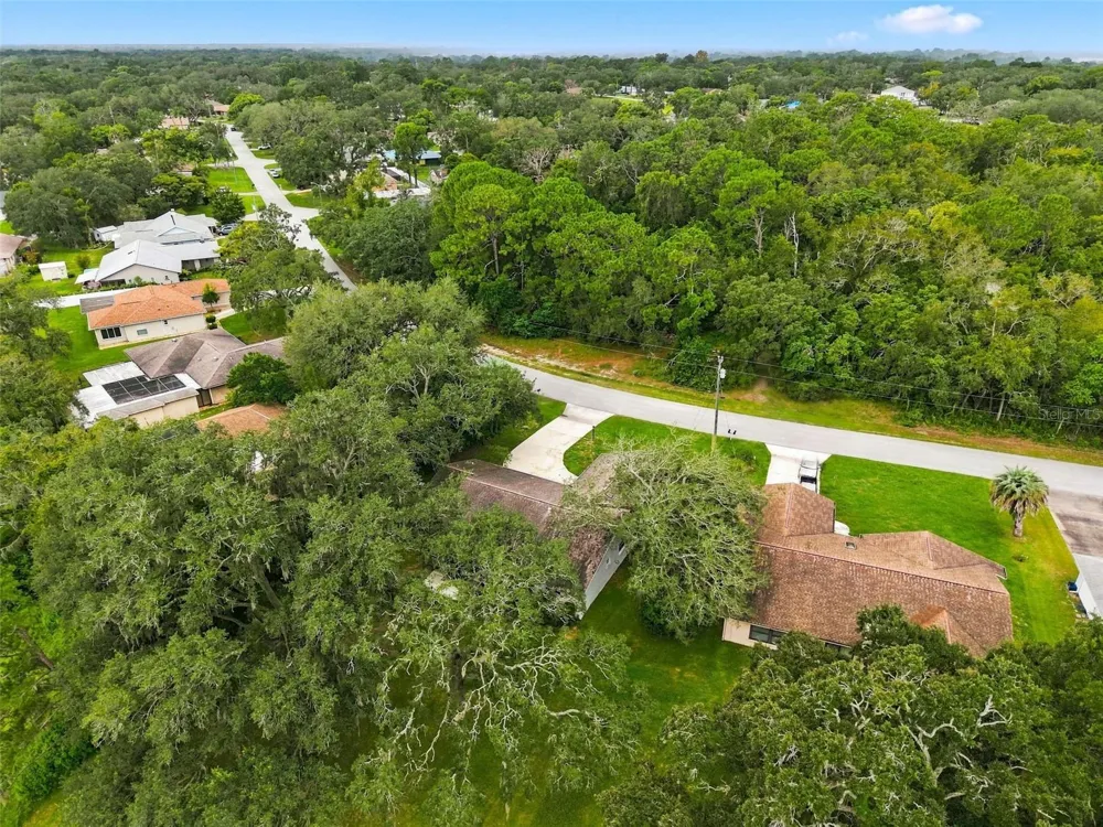 2134 LAREDO AVENUE Spring Hill, FL 34608