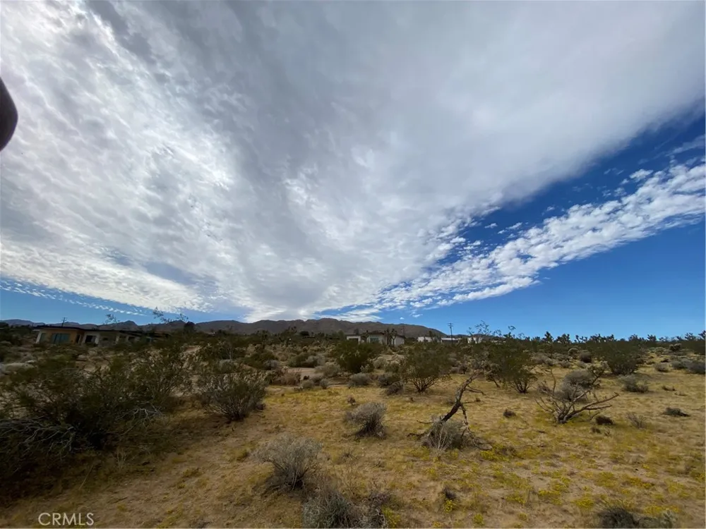 Saddleback Joshua Tree, CA 92252
