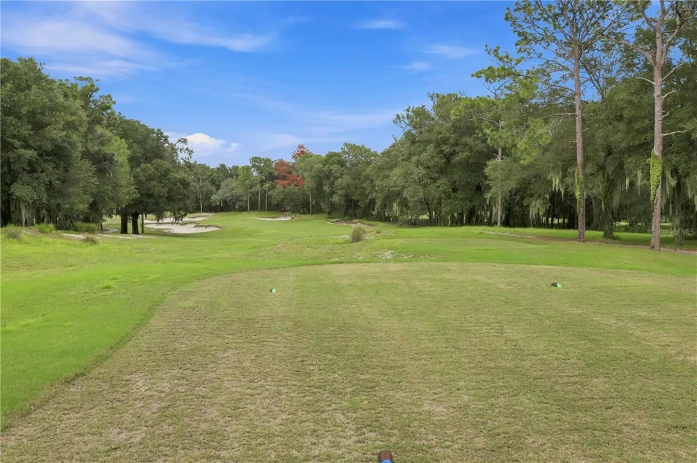 114 IVYDALE MANOR DRIVE Deland, FL 32724