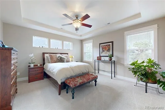 20303 Spruce Point Place Parker, CO 80134