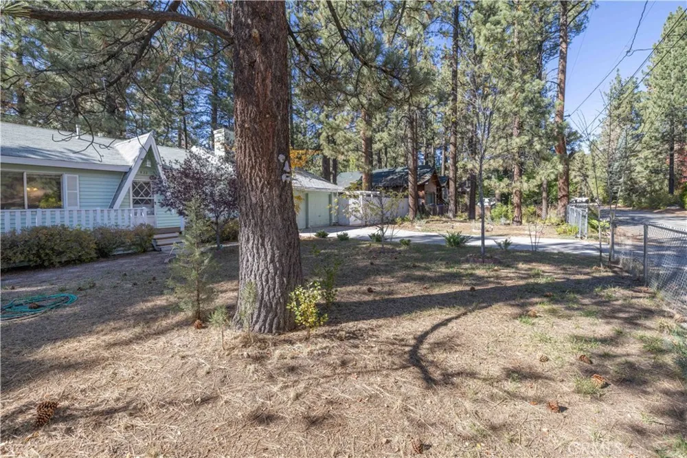 913 Tinkerbell Avenue Big Bear, CA 92314