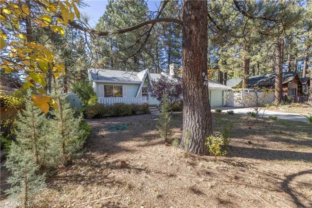 913 Tinkerbell Avenue Big Bear, CA 92314