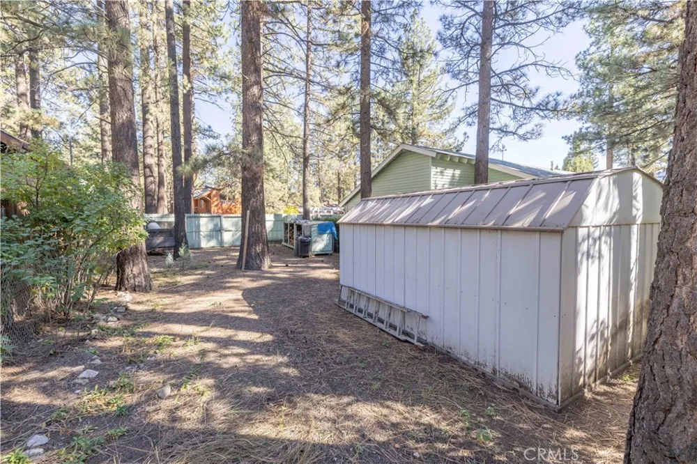 913 Tinkerbell Avenue Big Bear, CA 92314