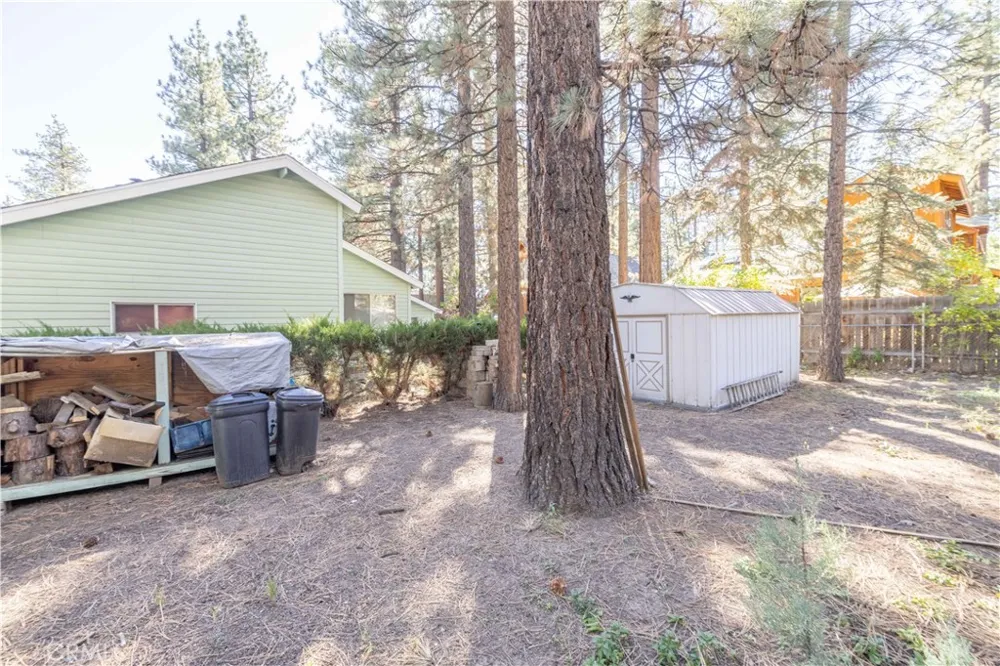 913 Tinkerbell Avenue Big Bear, CA 92314