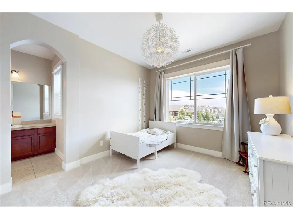 20303 Spruce Point Place Parker, CO 80134