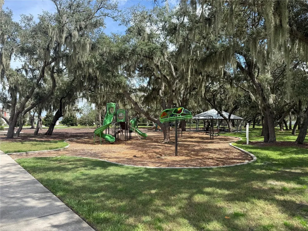 12937 SATIN LILY DRIVE Riverview, FL 33579