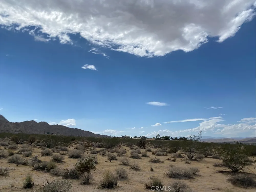 California Avenue Joshua Tree, CA 92252