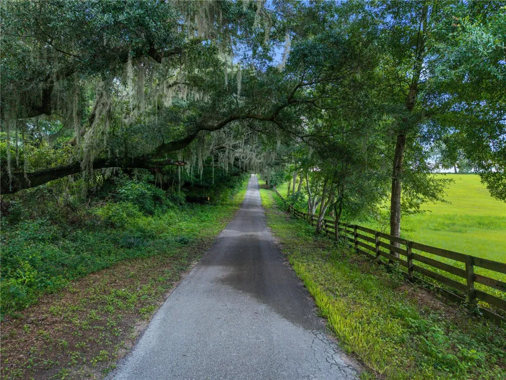 22118 OLD PROVIDENCE ROAD Alachua, FL 32615