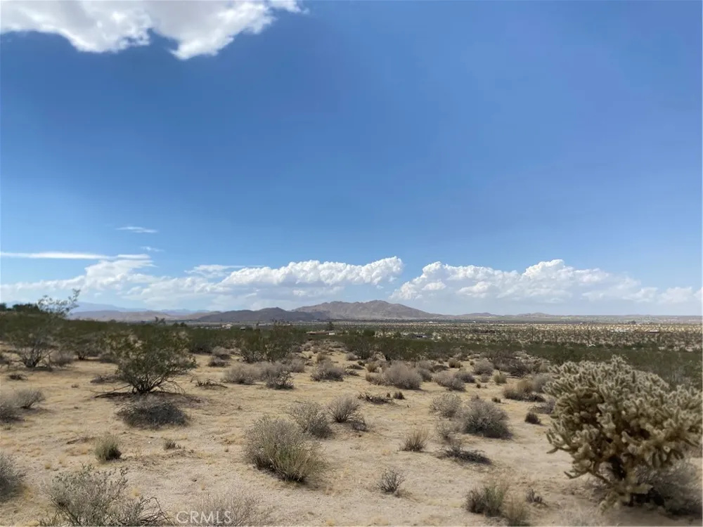 123 California Avenue Joshua Tree, CA 92252