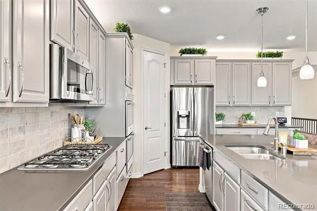 19903 W 94th Lane Arvada, CO 80007